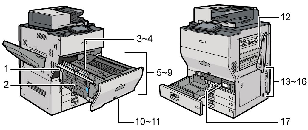 本体のイラスト