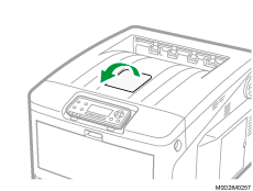 本体のイラスト